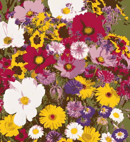 🌸 Product Description: Varieties of Flower Seeds (Pack of 100) + FREE Plant Growth Supplement